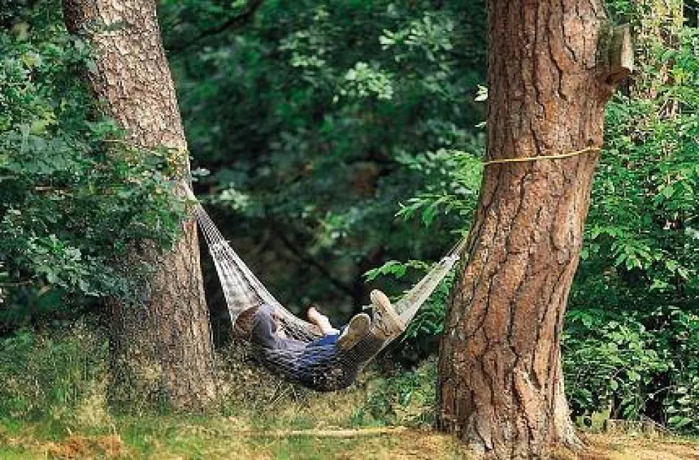 Camping Harskamperdennen