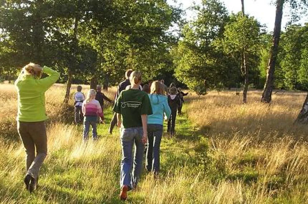 Camping Harskamperdennen
