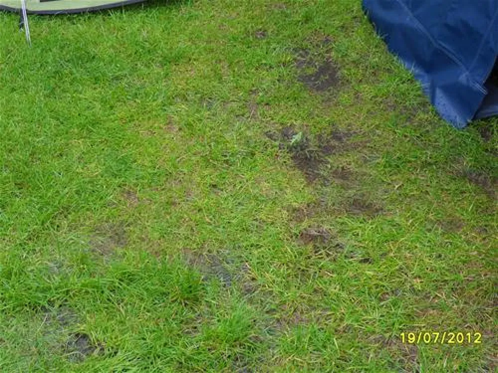 Wohnmobil- und Campingpark Olsdorf