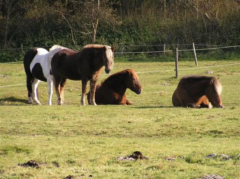 Wohnmobil- und Campingpark Olsdorf