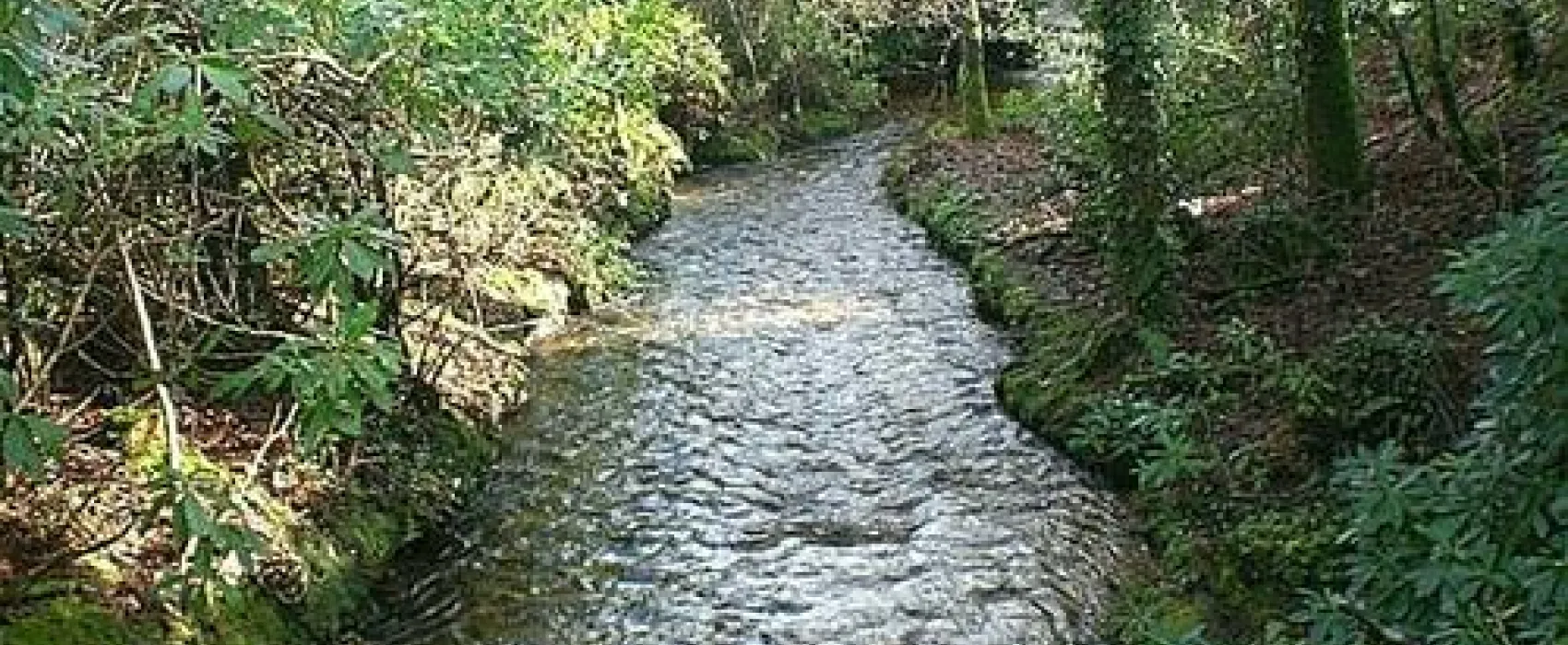 Eden Valley Holiday Park