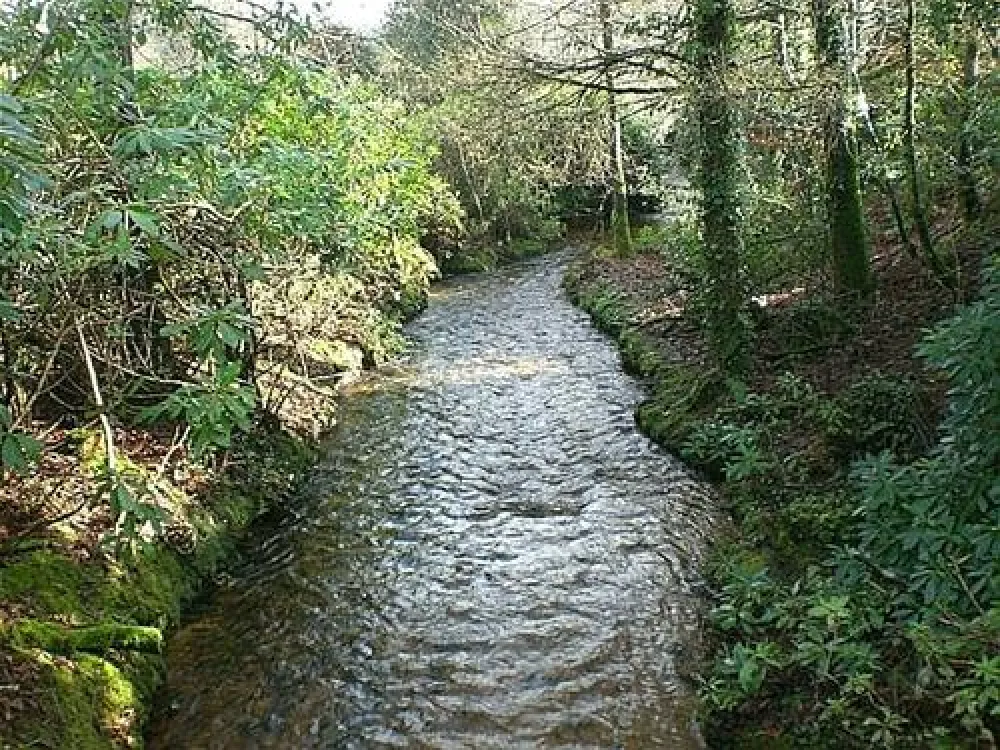 Eden Valley Holiday Park