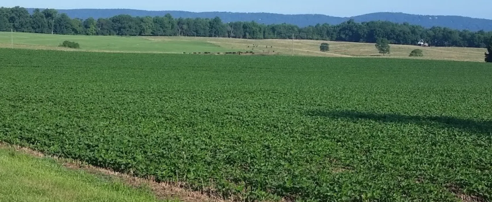 Greenville Farm Family Campground