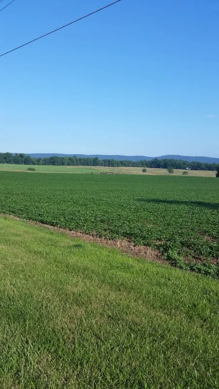 Greenville Farm Family Campground