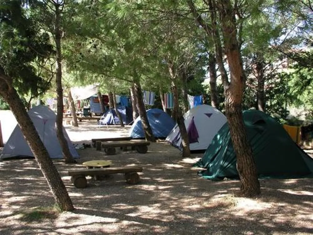 Camping Marko