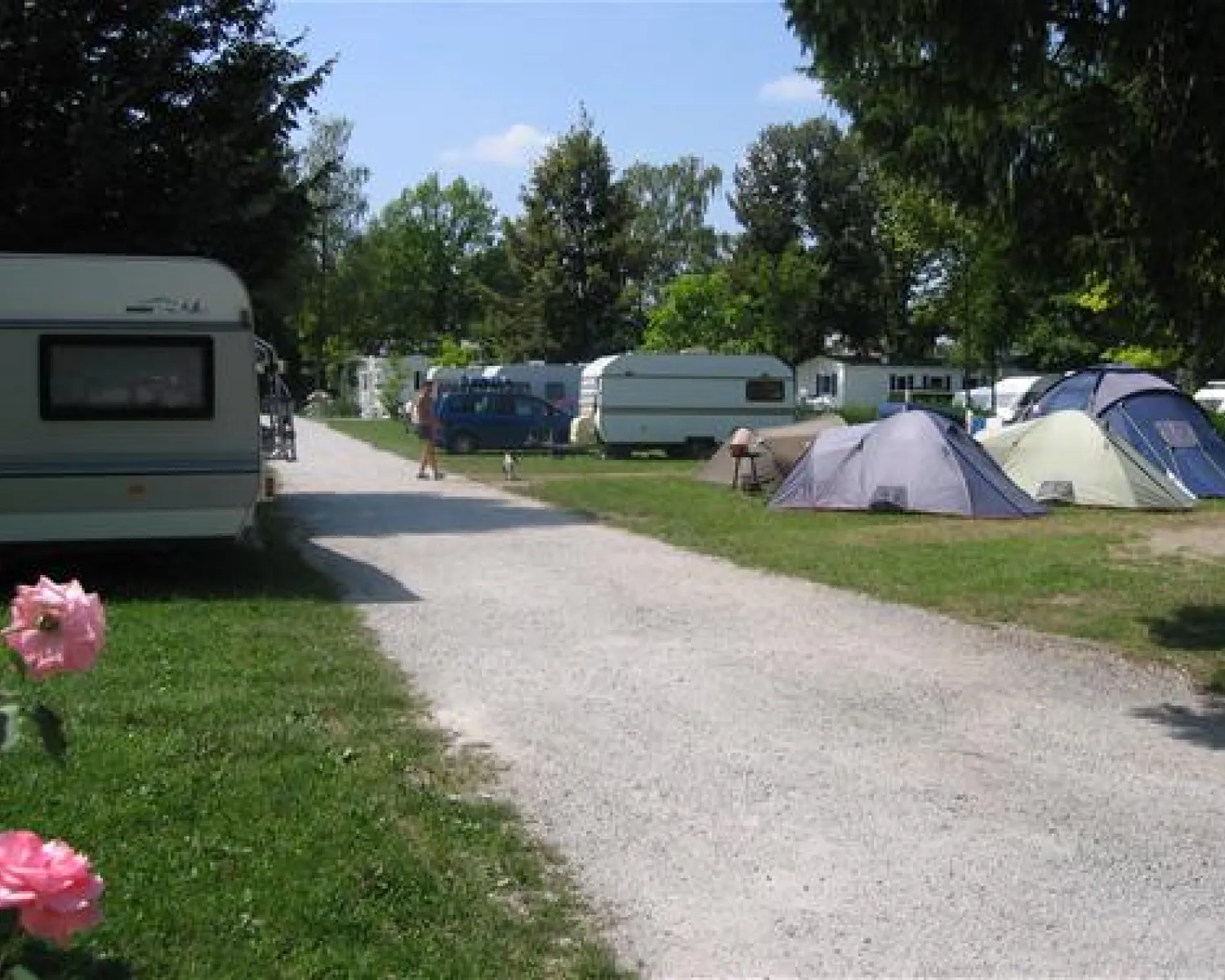 Ljubljana Resort in Slowenien - Spottocamp - Spottocamp