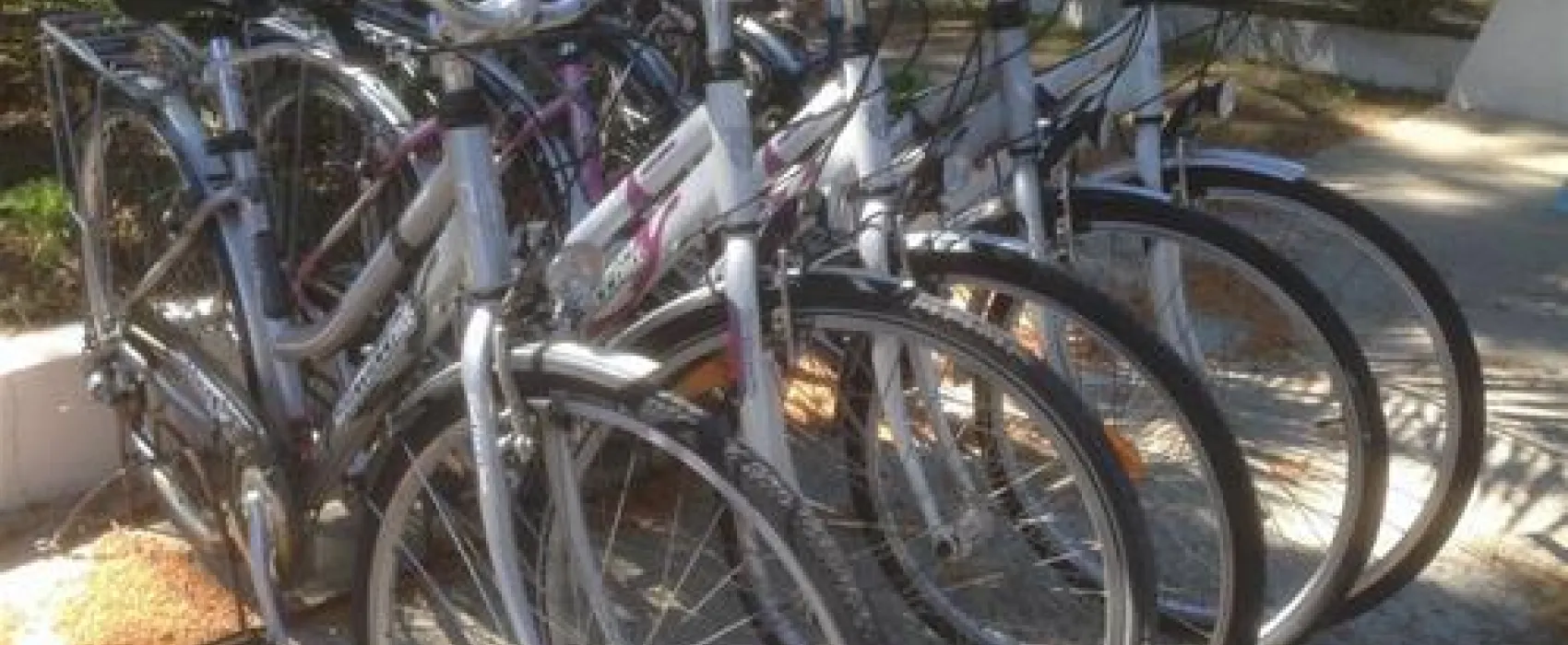 Camping Club Les Pins