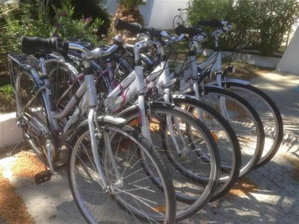 Camping Club Les Pins