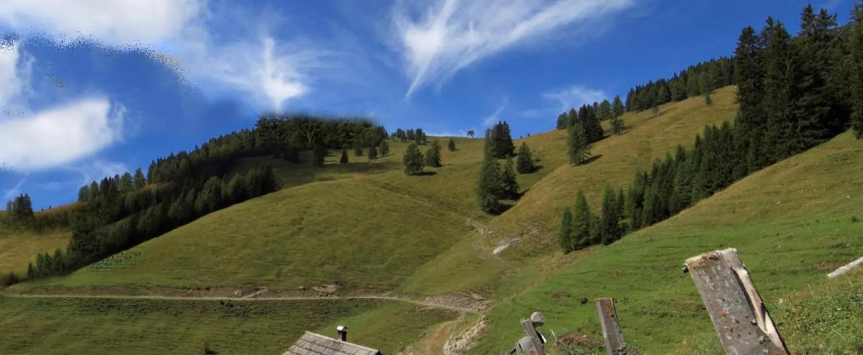 Terrassencamping Ronacher