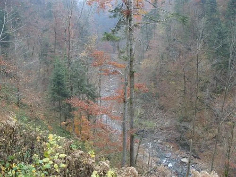 Alpencamping Nenzing