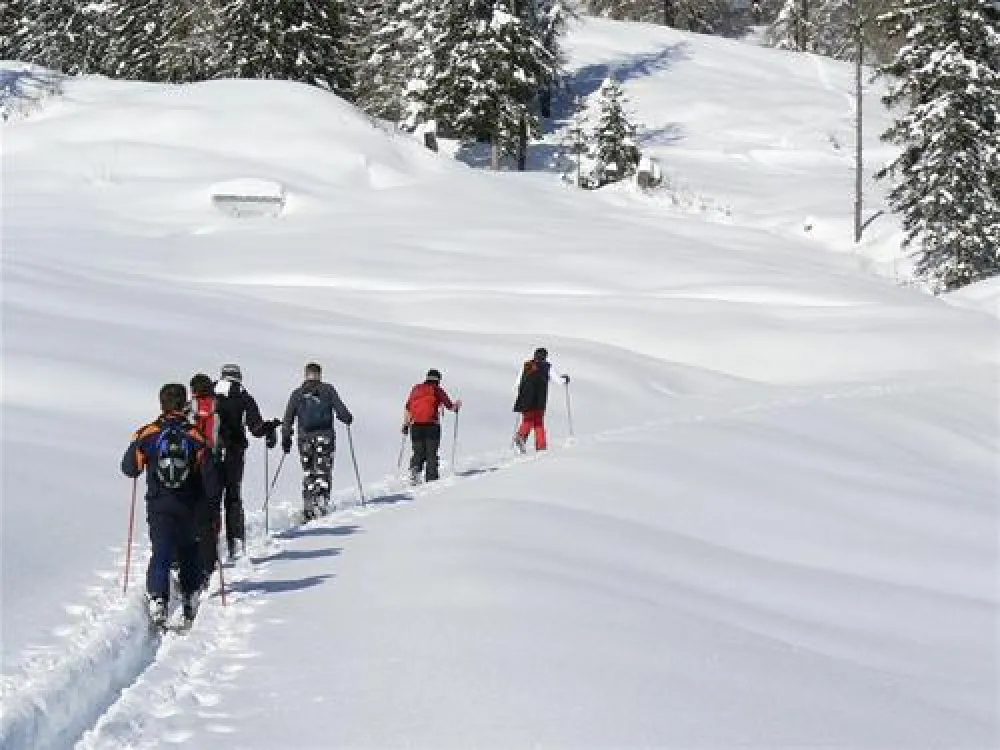 Alpencamping Nenzing