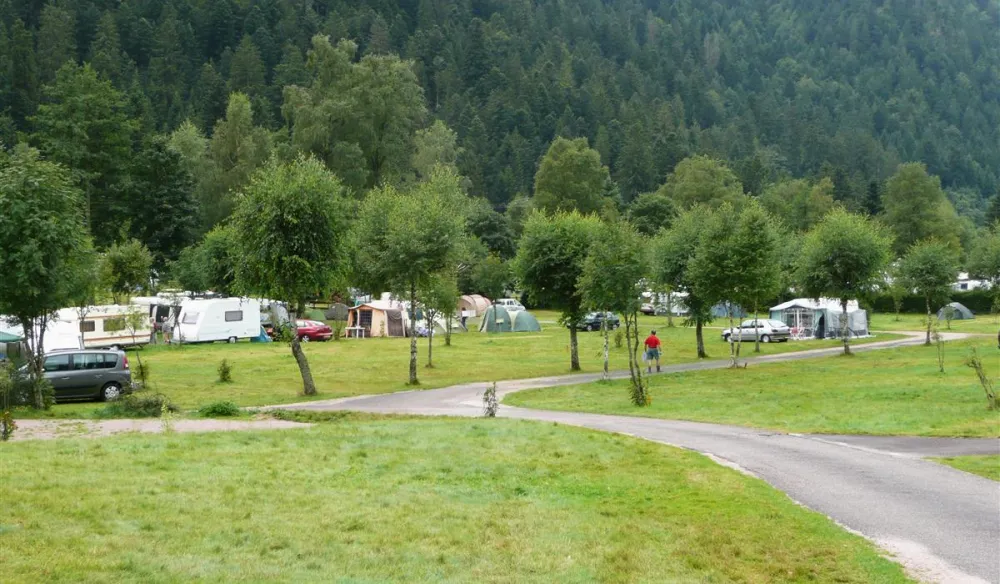 Camping La Vologne  