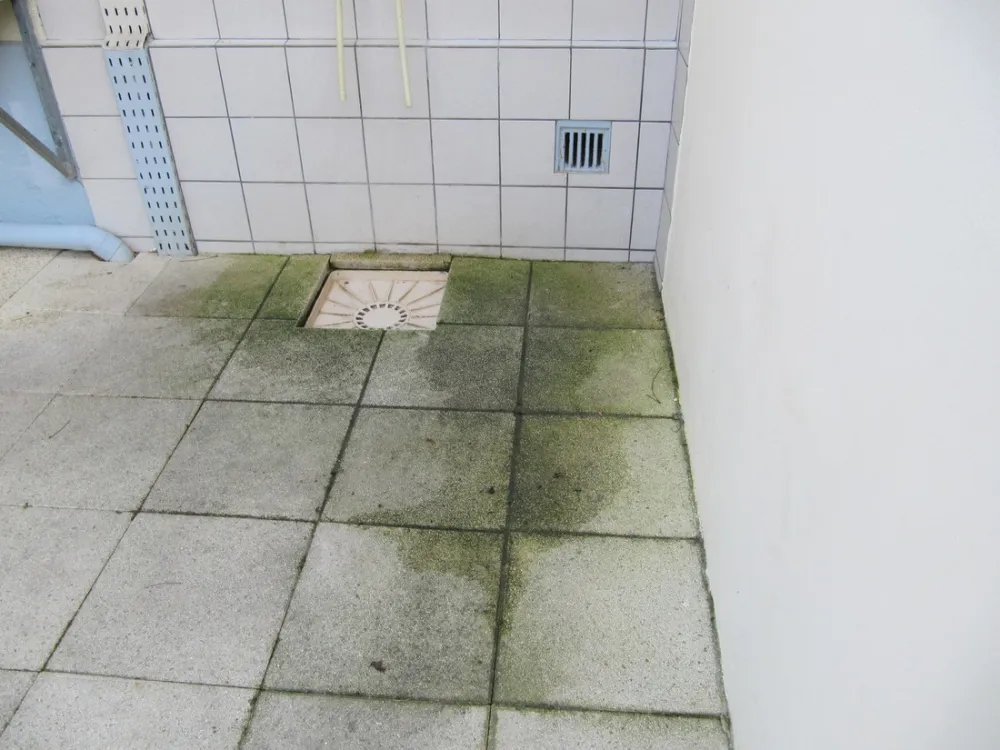 Camping Le Mus De Loup