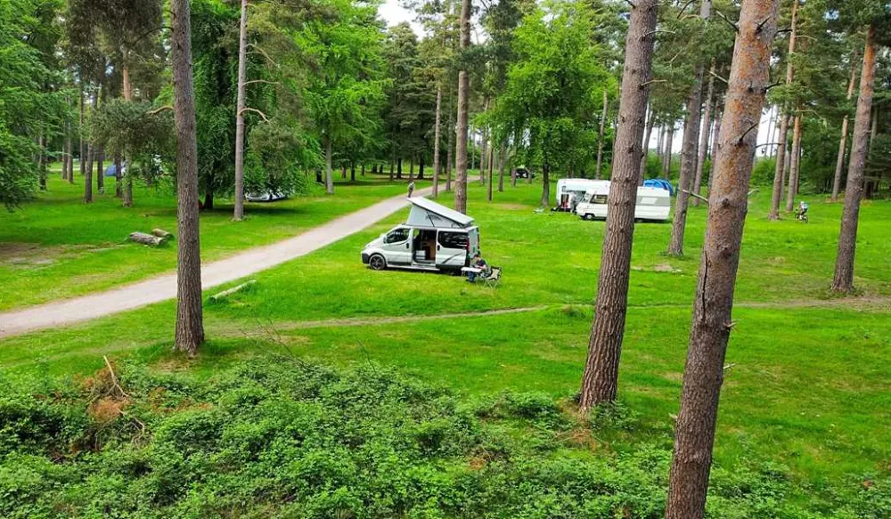 Cannock Chase Camping and Caravanning Club Site