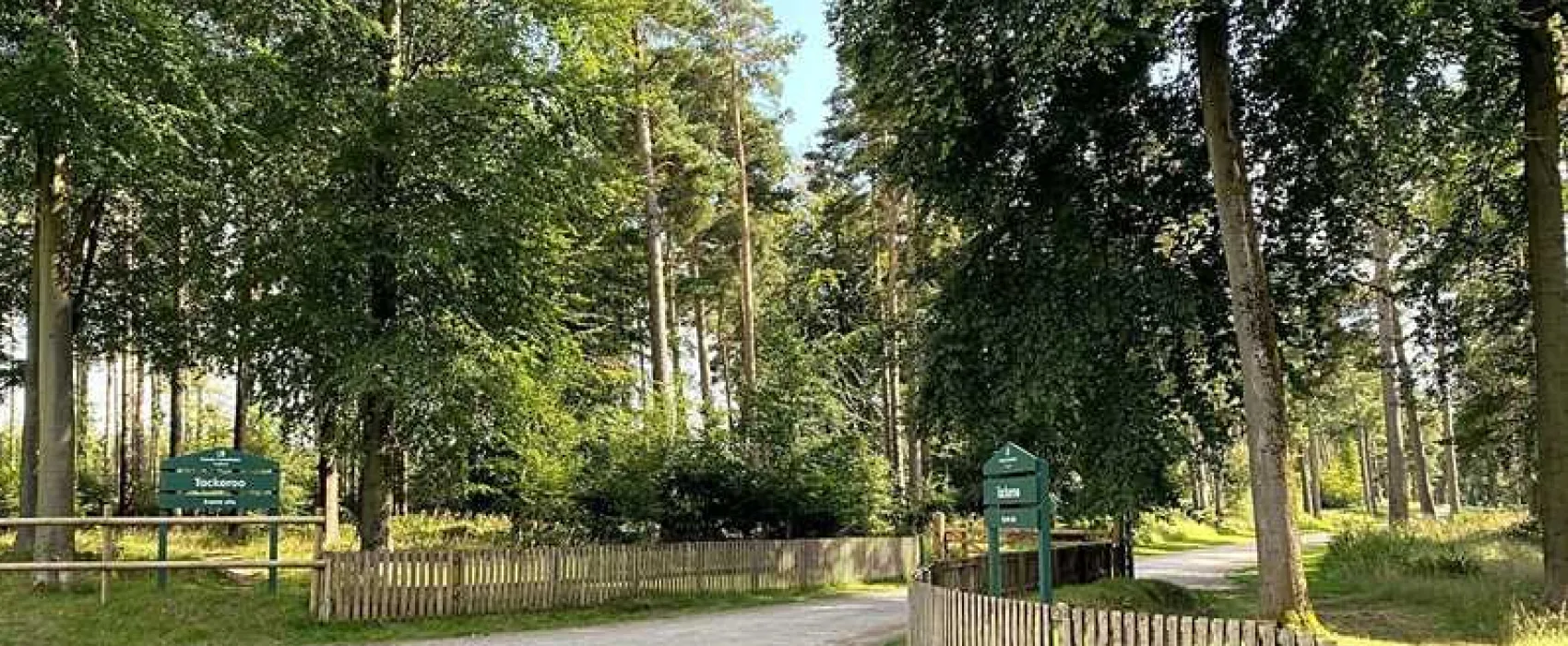 Cannock Chase Camping and Caravanning Club Site