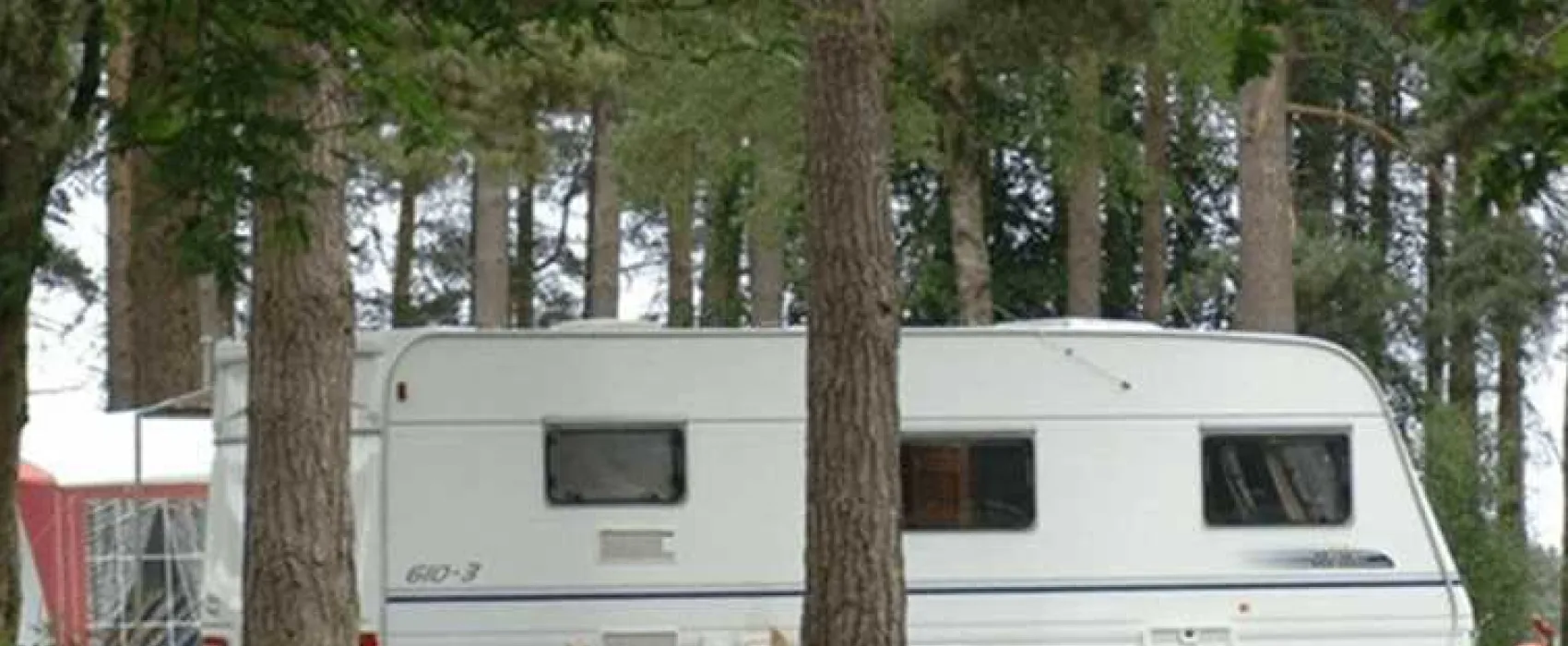 Cannock Chase Camping and Caravanning Club Site