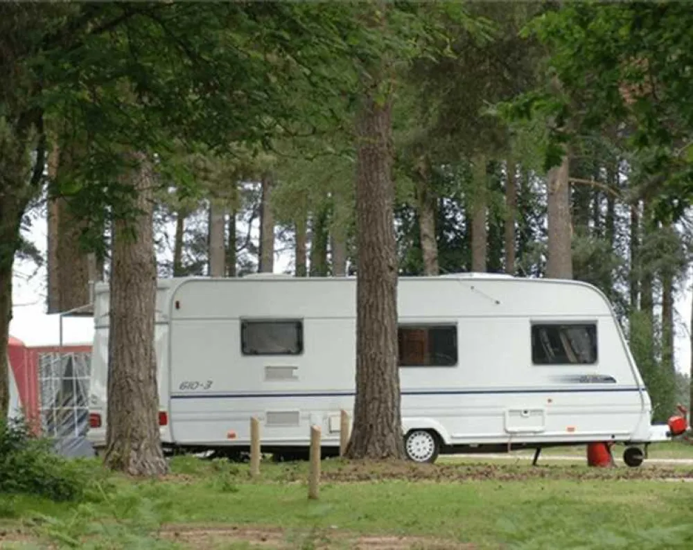 Cannock Chase Camping and Caravanning Club Site