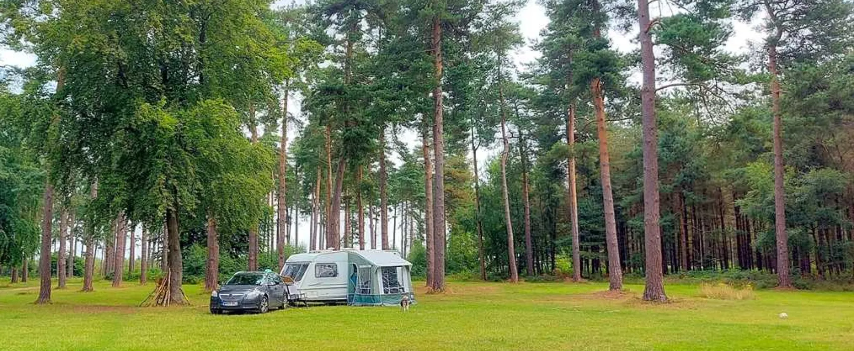 Cannock Chase Camping and Caravanning Club Site