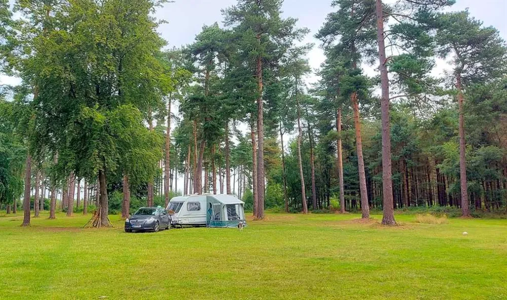Cannock Chase Camping and Caravanning Club Site
