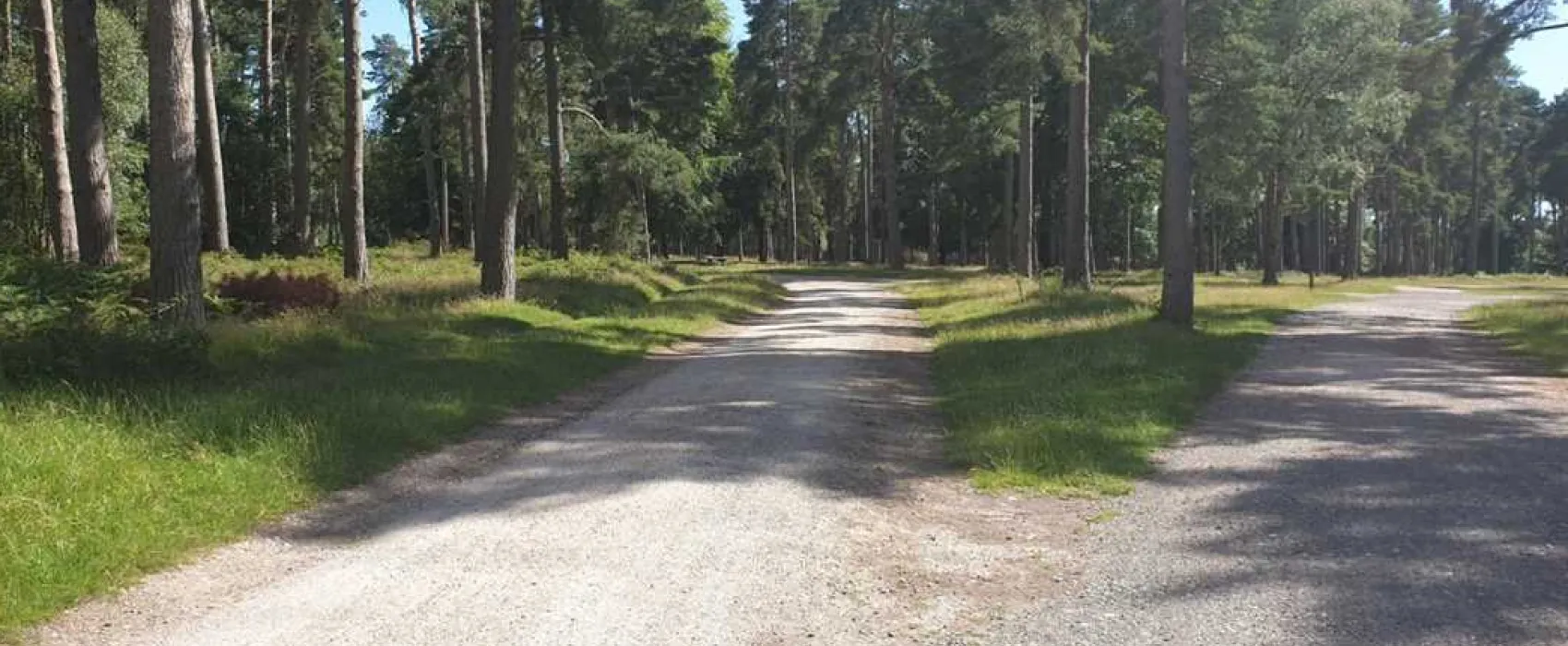 Cannock Chase Camping and Caravanning Club Site