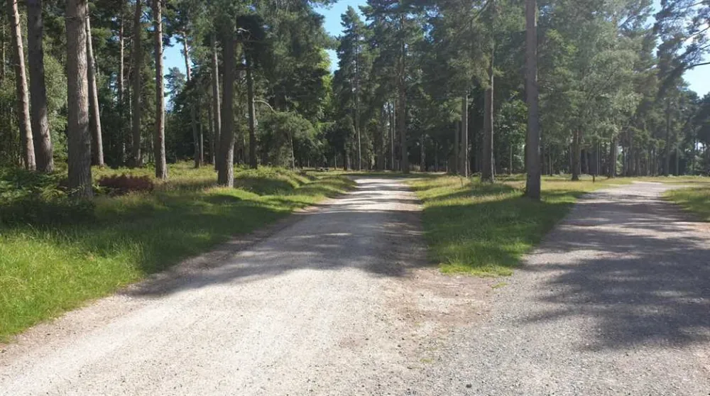 Cannock Chase Camping and Caravanning Club Site