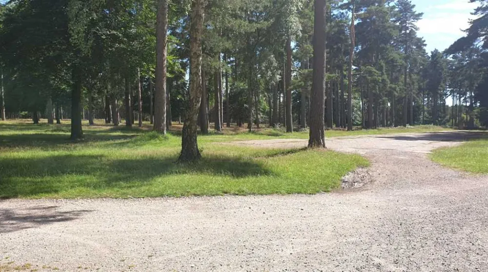 Cannock Chase Camping and Caravanning Club Site