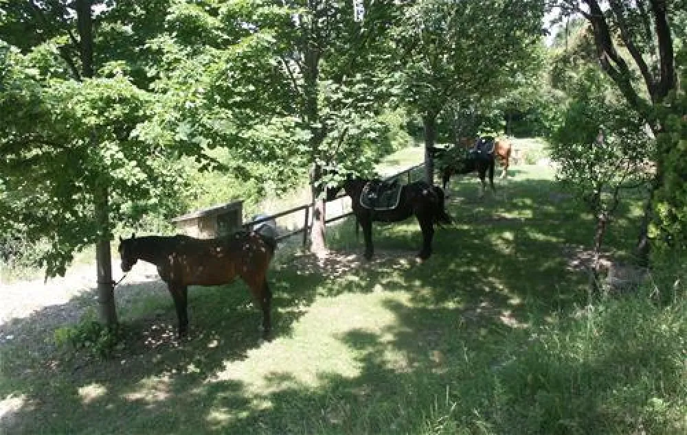 Agricampeggio La Stadera
