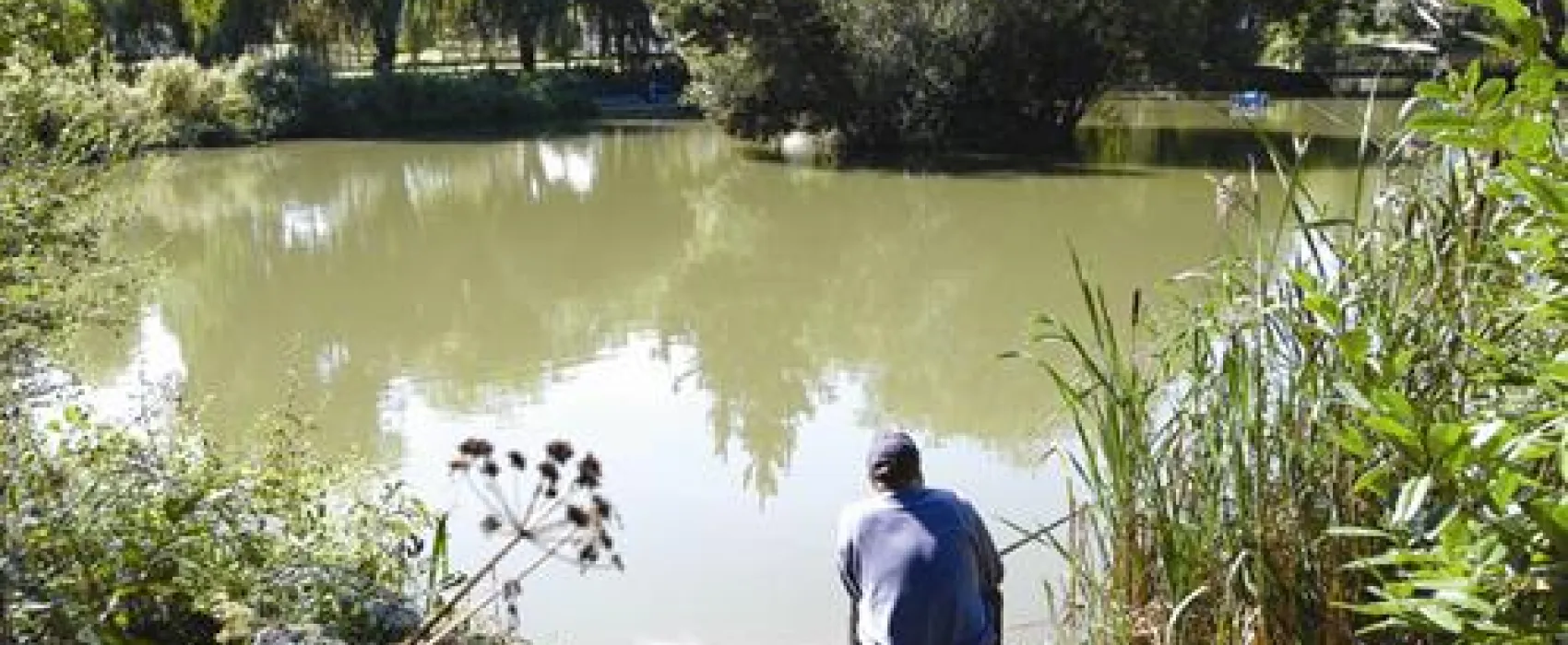 Cofton Country Holidays