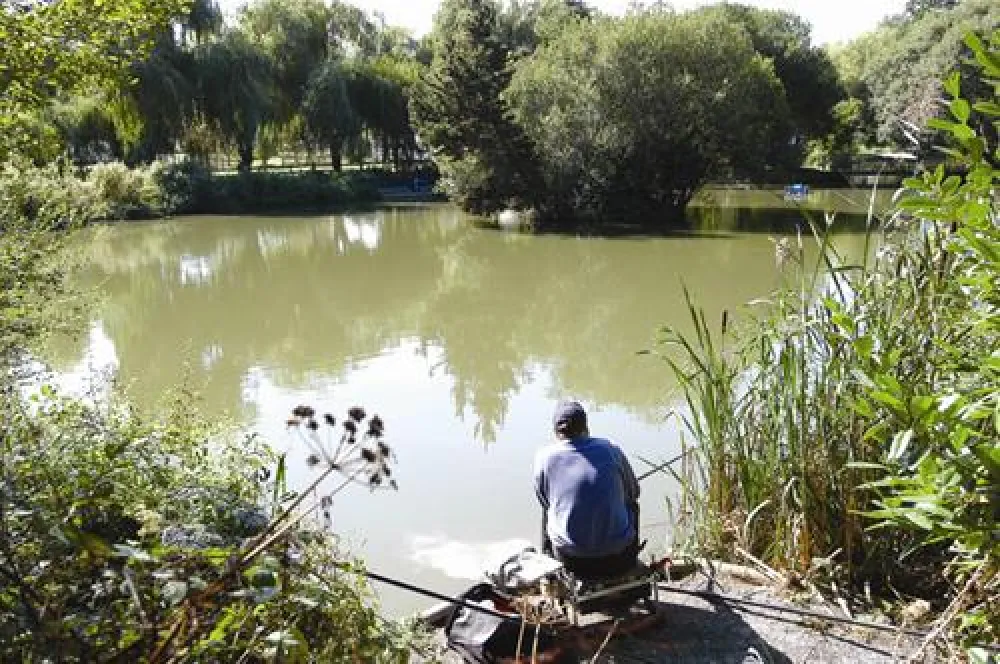 Cofton Country Holidays