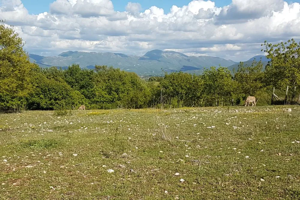 Le Streghe Agriturismo