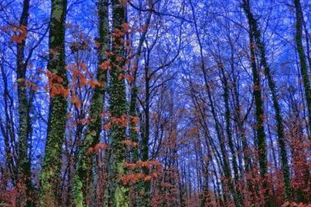 Le Streghe Agriturismo
