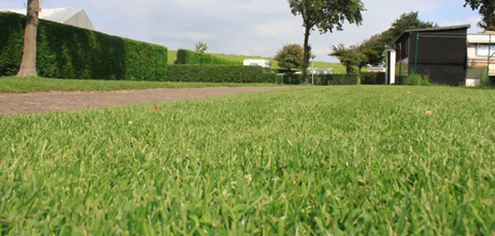 Camping Klein Stelle