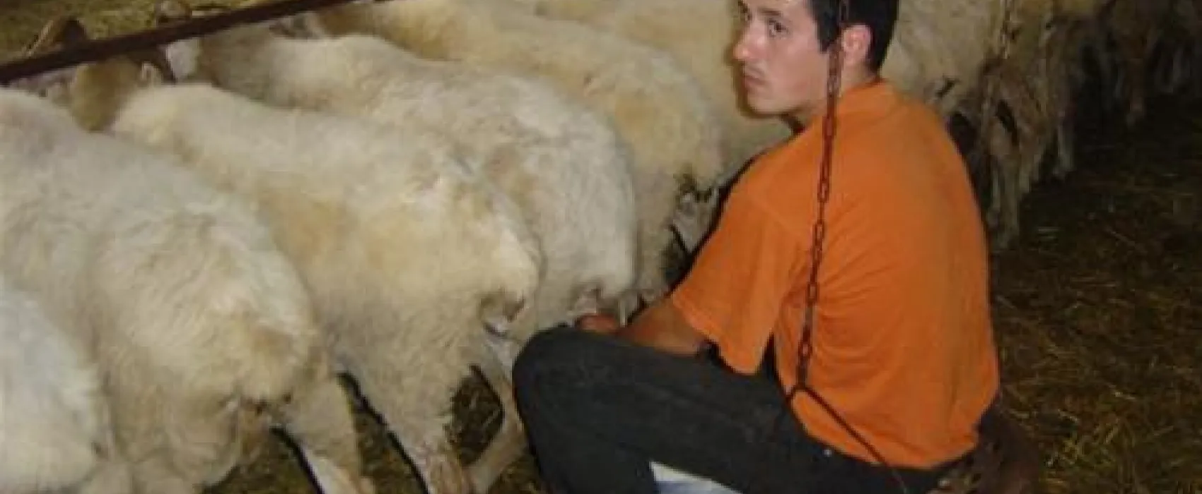 Camping a la ferme SOBIETA