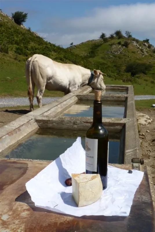 Camping a la ferme SOBIETA