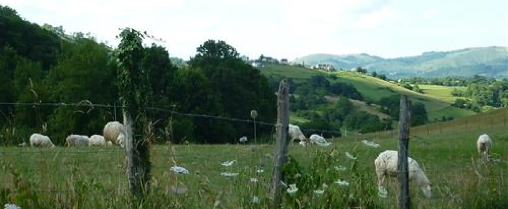 Camping a la ferme SOBIETA