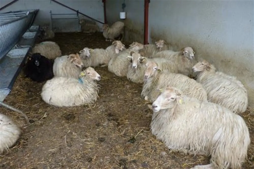 Camping a la ferme SOBIETA