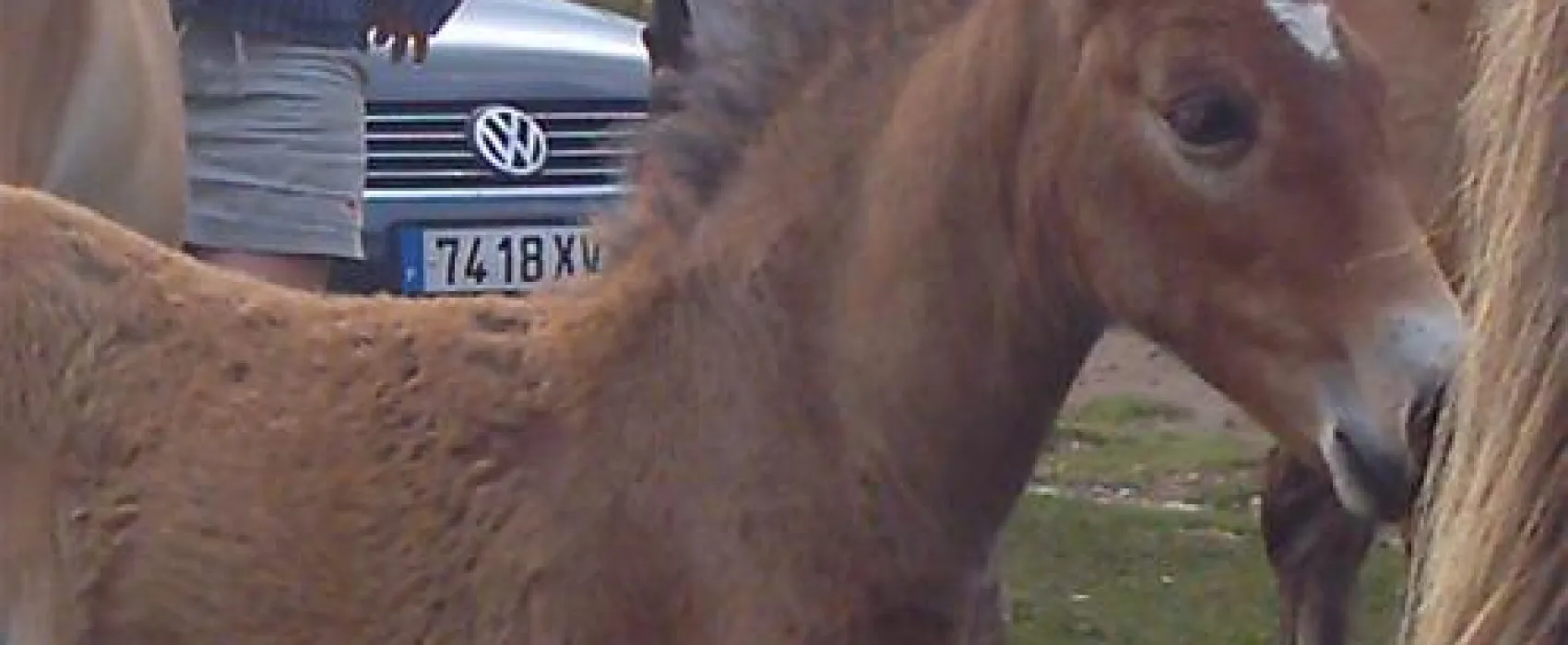 Camping a la ferme SOBIETA