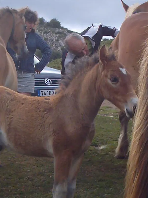 Camping a la ferme SOBIETA