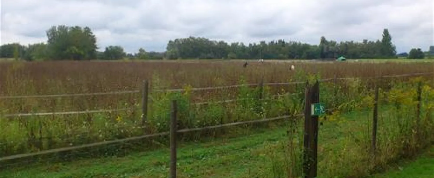 Camp Au Clair Ruisseau
