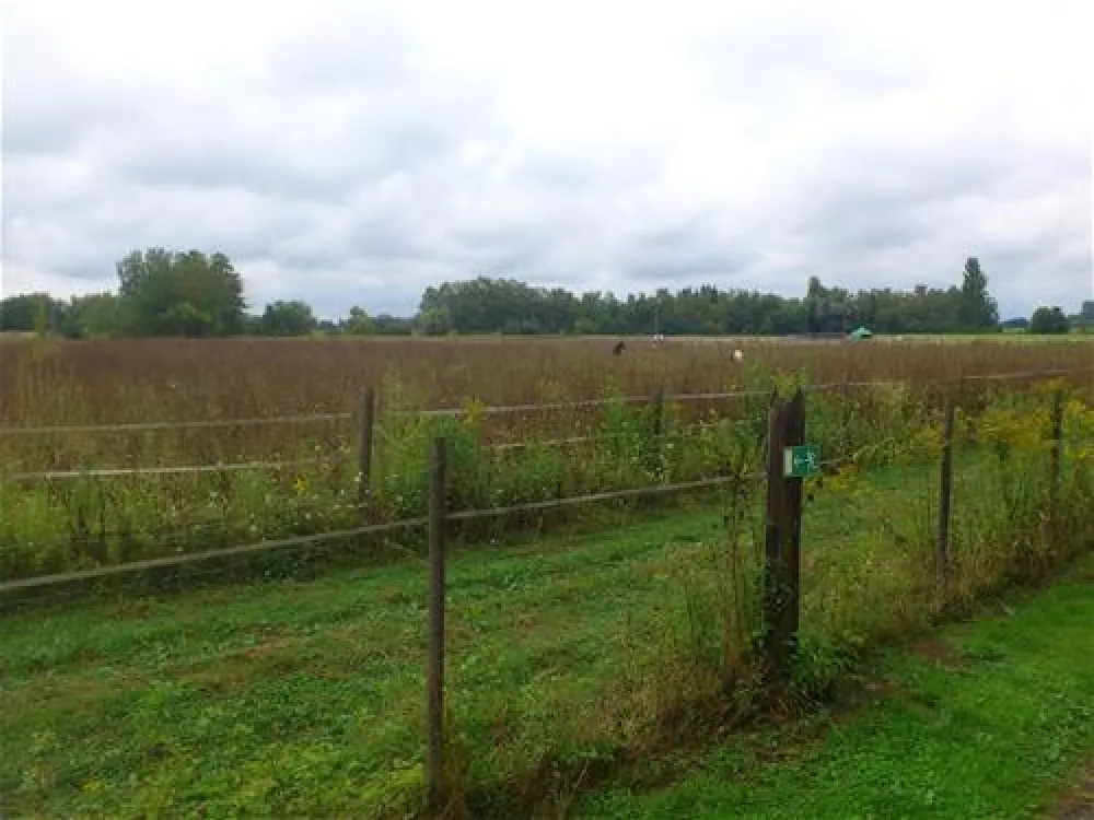 Camp Au Clair Ruisseau