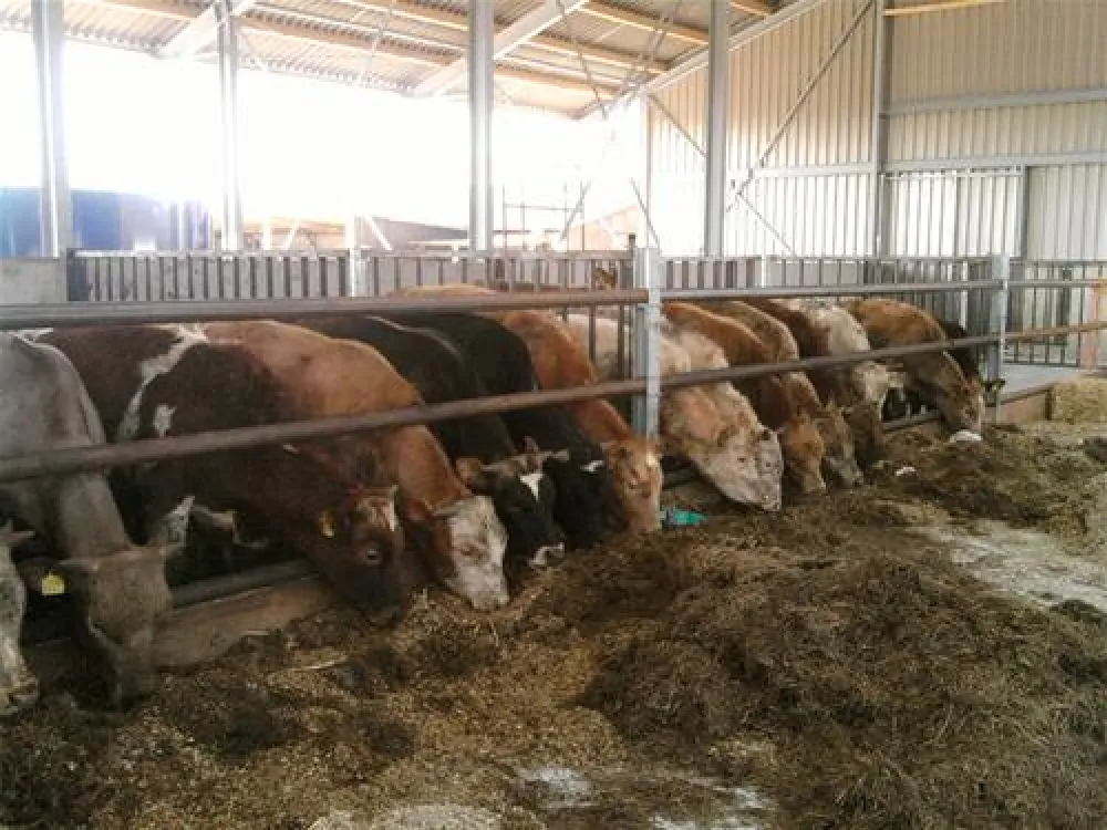 Camping Charlottenburg