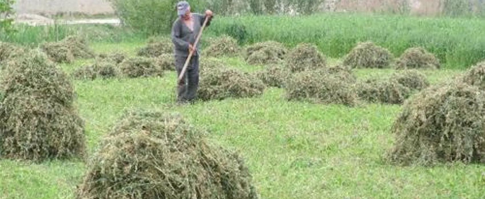 Albania Berat Caravan Camping