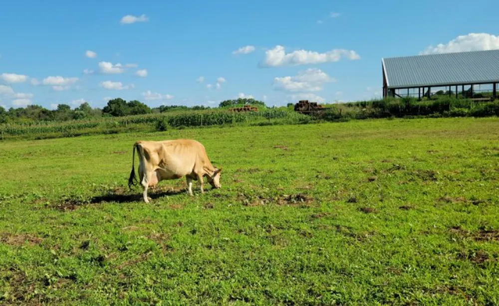 Mill Bridge Village & Camp Resort
