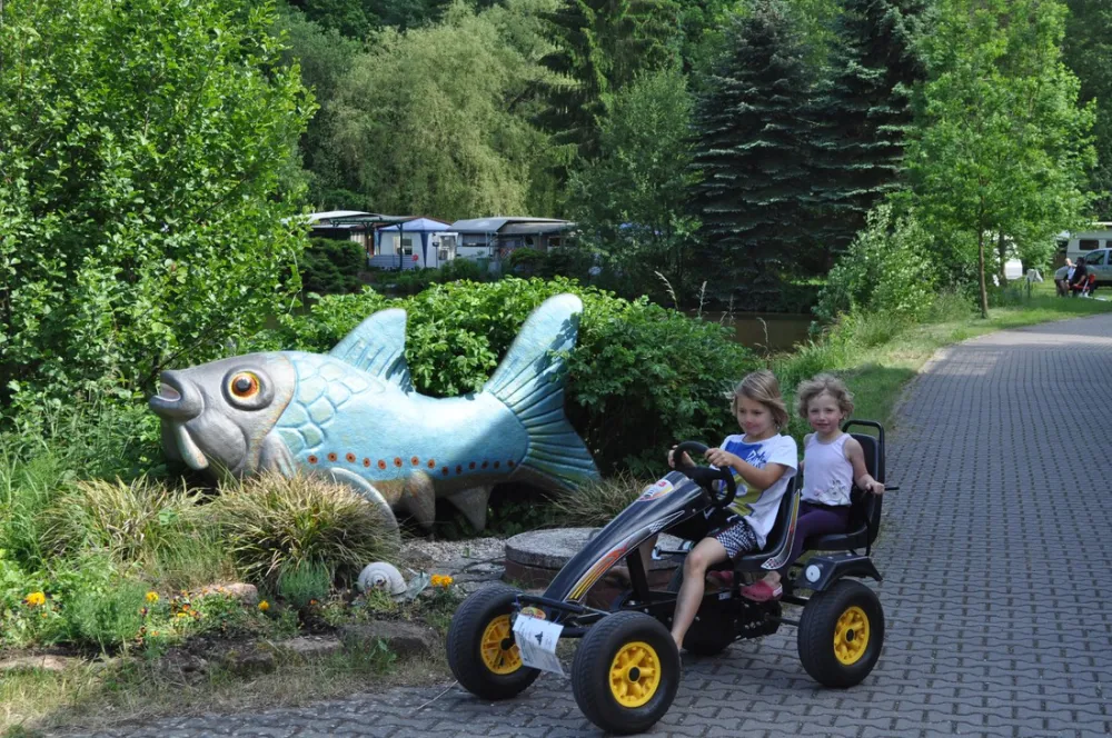 Campingplatz Pfrimmtal