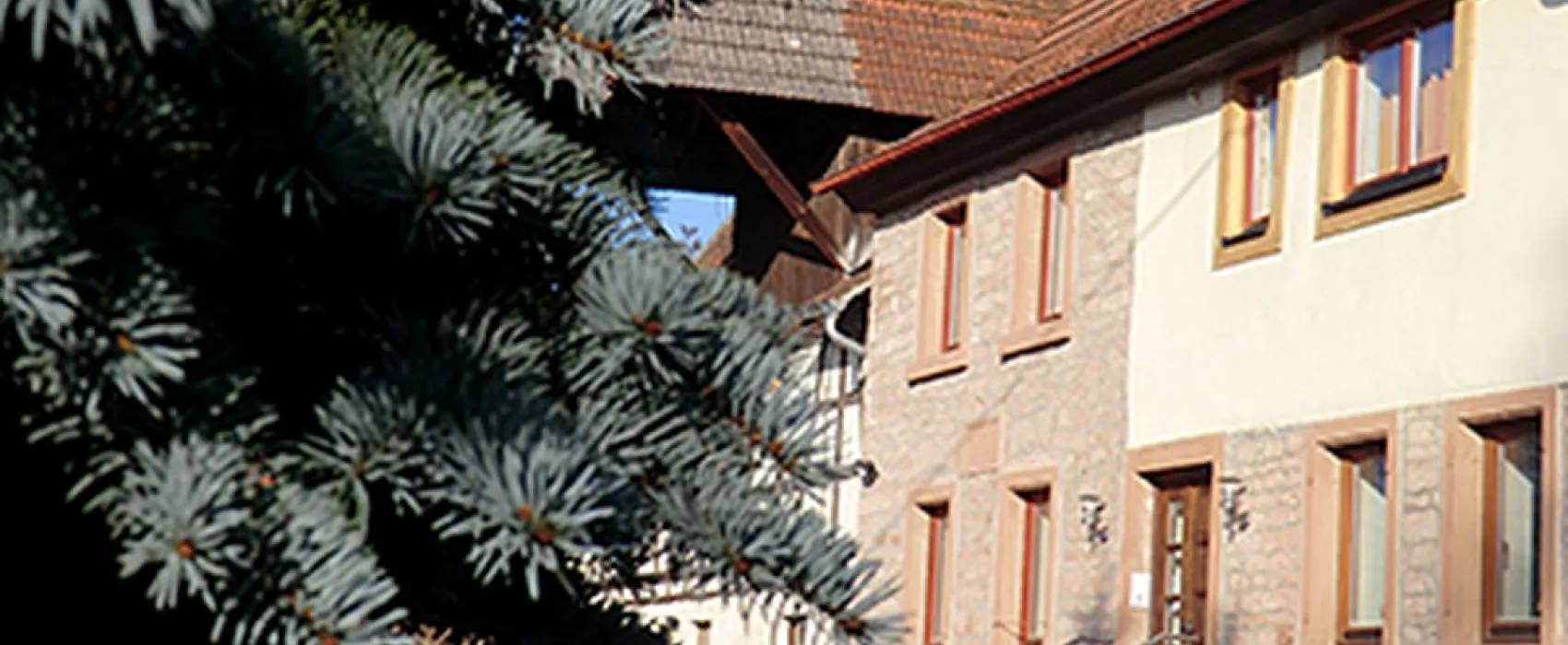 Campingplatz Pfrimmtal