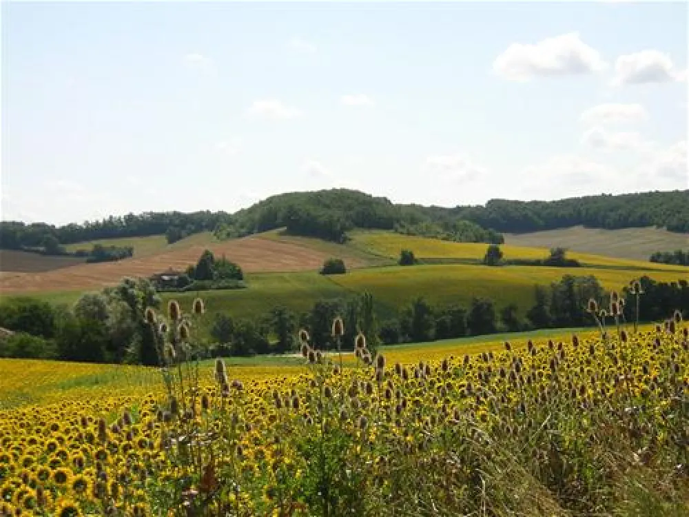 Camping Domaine Les Angeles