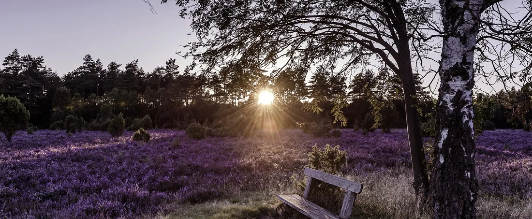 Camping-Park Lüneburger Heide