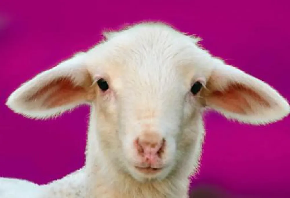 Camping-Park Lüneburger Heide