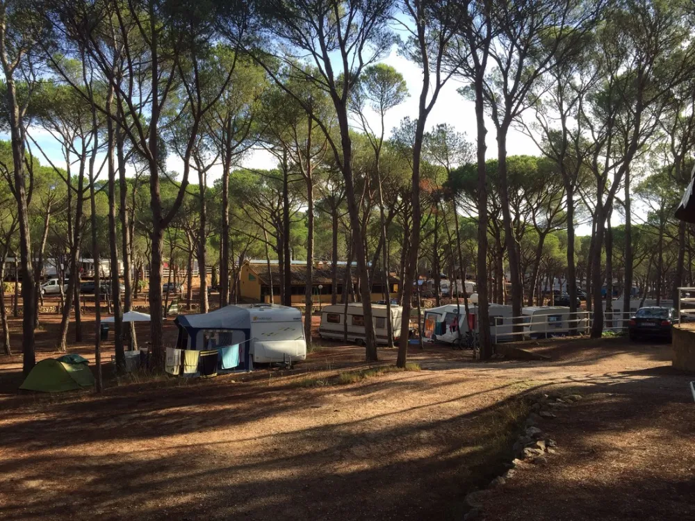 Camping Cala Montgó