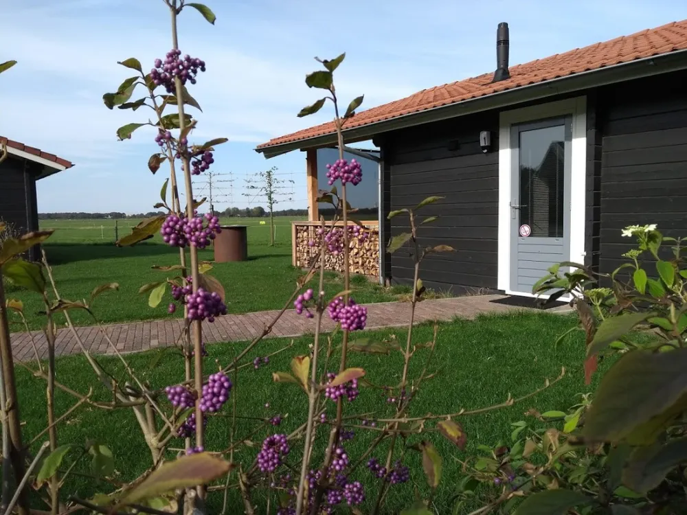 Camping Vorrelveen